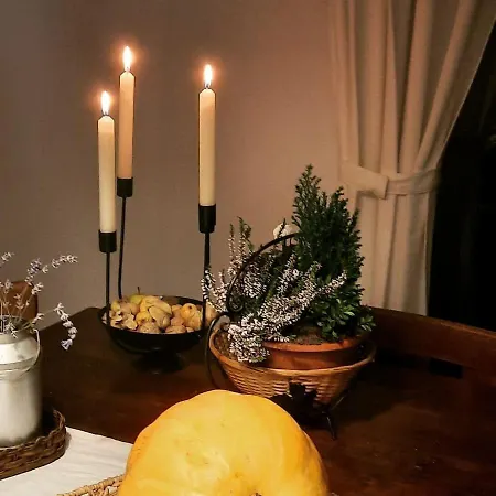 Casa Din Poiana Holiday home